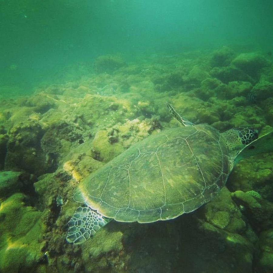 Hotel Saracura Praia de Araçatiba Zewnętrze zdjęcie