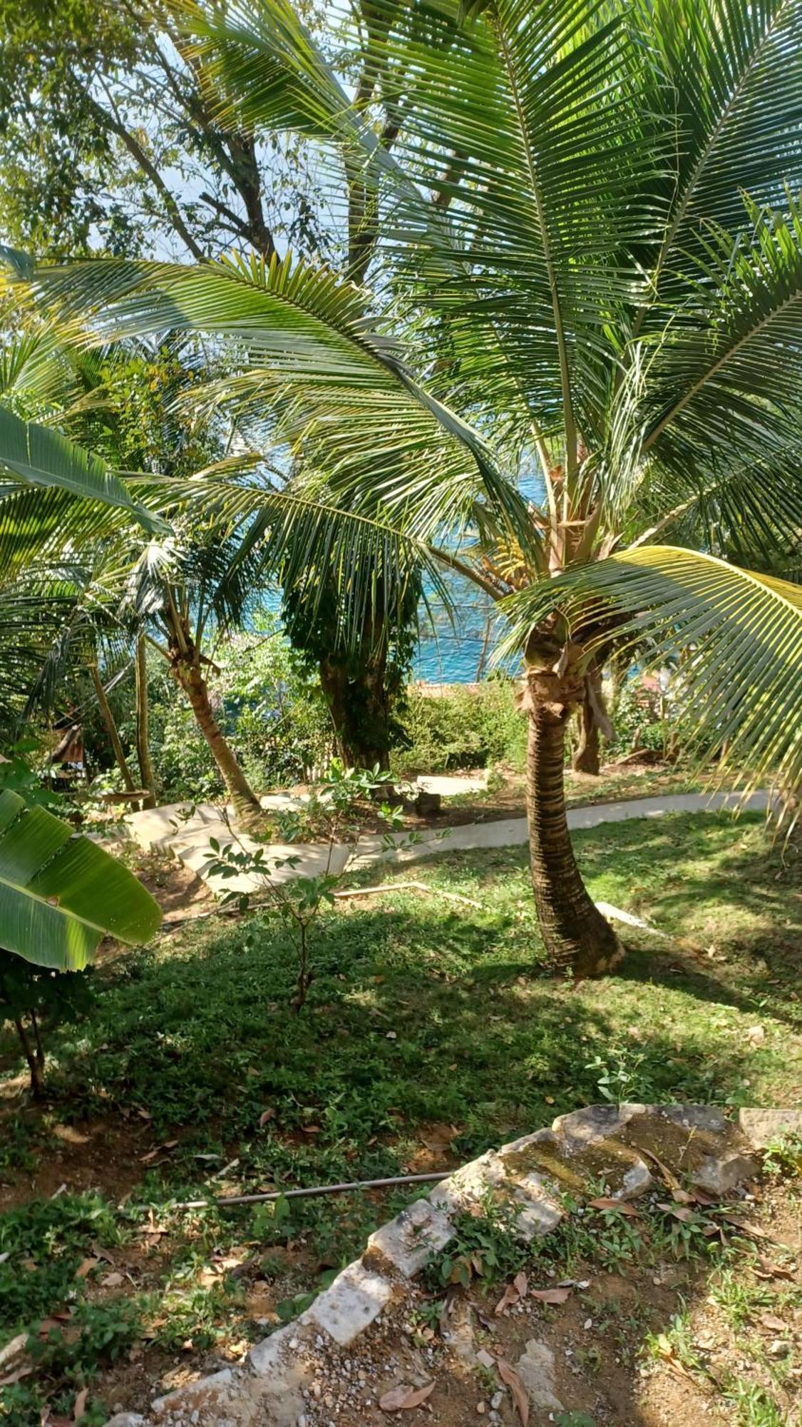 Hotel Saracura Praia de Araçatiba Zewnętrze zdjęcie